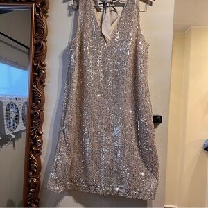 LOFT champagne Sequin Dress